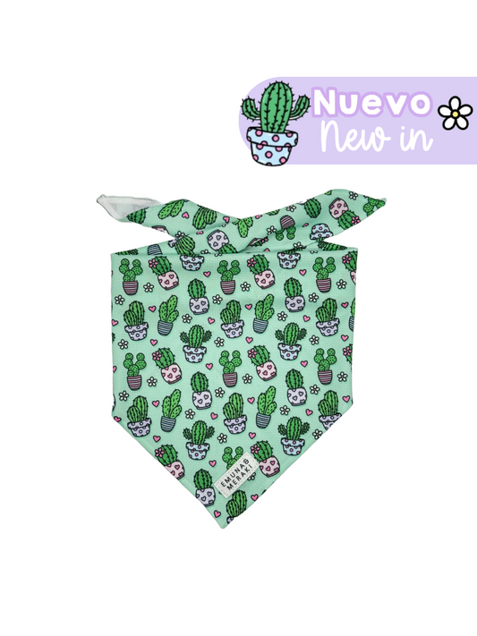 Bandana Cactus