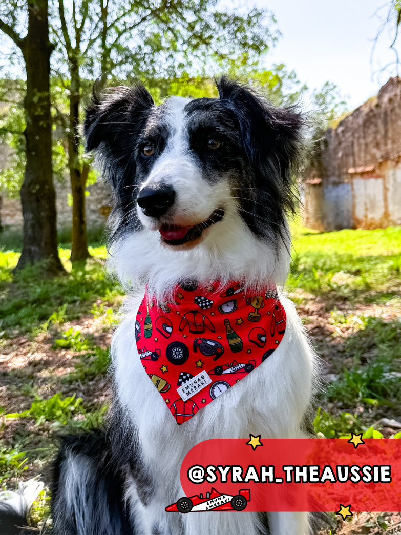 Bandana Formula 1 (F1)